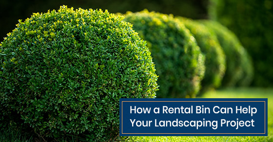 Benefits of a rental bin for you landscaping project