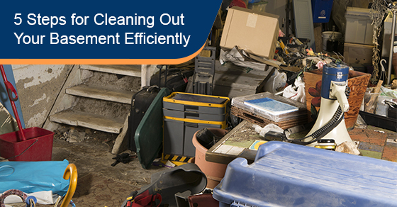 5 Steps for Cleaning Out Your Basement Efficiently