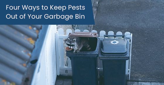 10 Ways to Keep Animals Out of Your Garbage